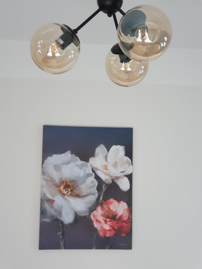 Cesu Majas Rigas Iela Apartment Cesis Luaran gambar